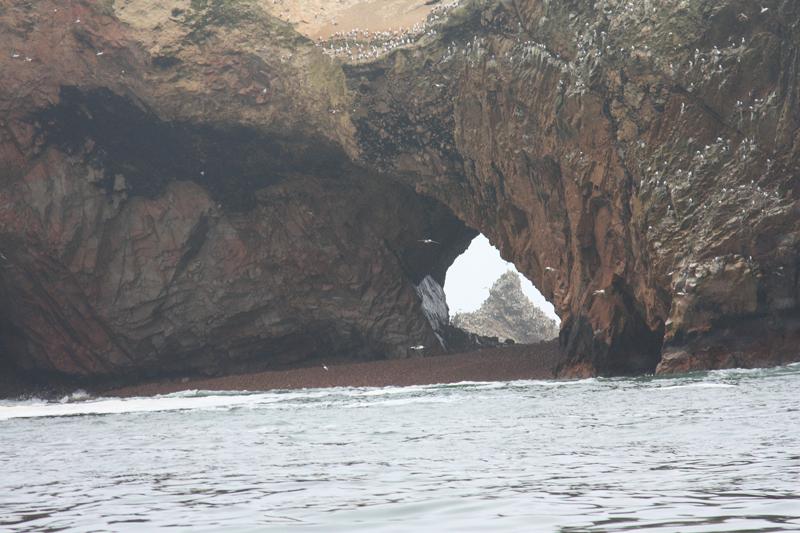 1130-Isole Ballestas,19 luglio 2013.JPG